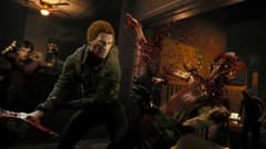No More Room in Hell 2 - Killer Cat Pack