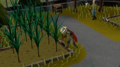 Picture of Old School RuneScape 1-Month Membership