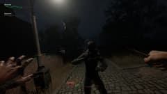 Picture of Pathologic 2