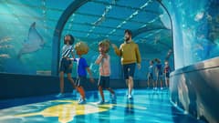 Planet Zoo 2