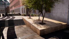 Session: Skate Sim Barcelona
