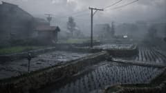 Silent Hill f (US)