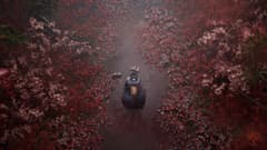 Silent Hill f (US)