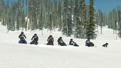 Picture of Sledders