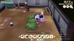 Picture of Story of Seasons: Grand Bazaar - Xbox Series X|S