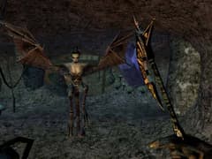 Picture of The Elder Scrolls III: Morrowind Game of the Year Edition