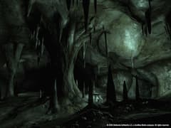 Picture of The Elder Scrolls IV: Oblivion Game of the Year Edition