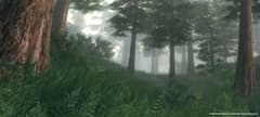 Picture of The Elder Scrolls IV: Oblivion Game of the Year Edition