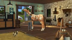 Picture of The Sims 4 Horse Ranch Expansion Pack - Xbox Series X/Xbox One