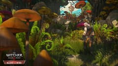 Picture of The Witcher 3: Wild Hunt Expansion Pass Xbox One