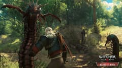 Picture of The Witcher 3: Wild Hunt Expansion Pass Xbox One