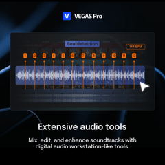 Picture of VEGAS Pro 365