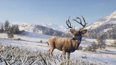 Way of the Hunter 2 Digital Deluxe Edition