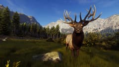Picture of Way of the Hunter Elite Edition