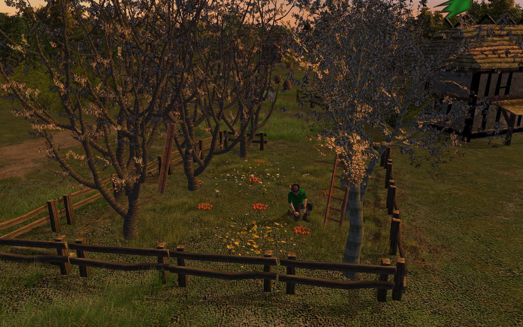 Picture of The Guild 2 Renaissance