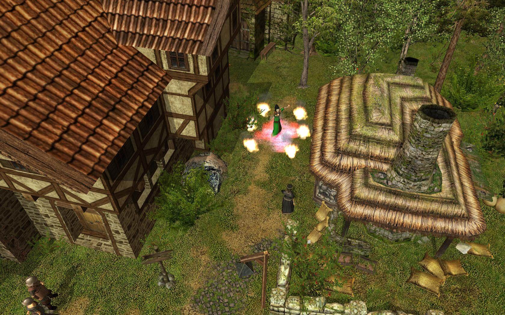 Picture of The Guild 2 Renaissance