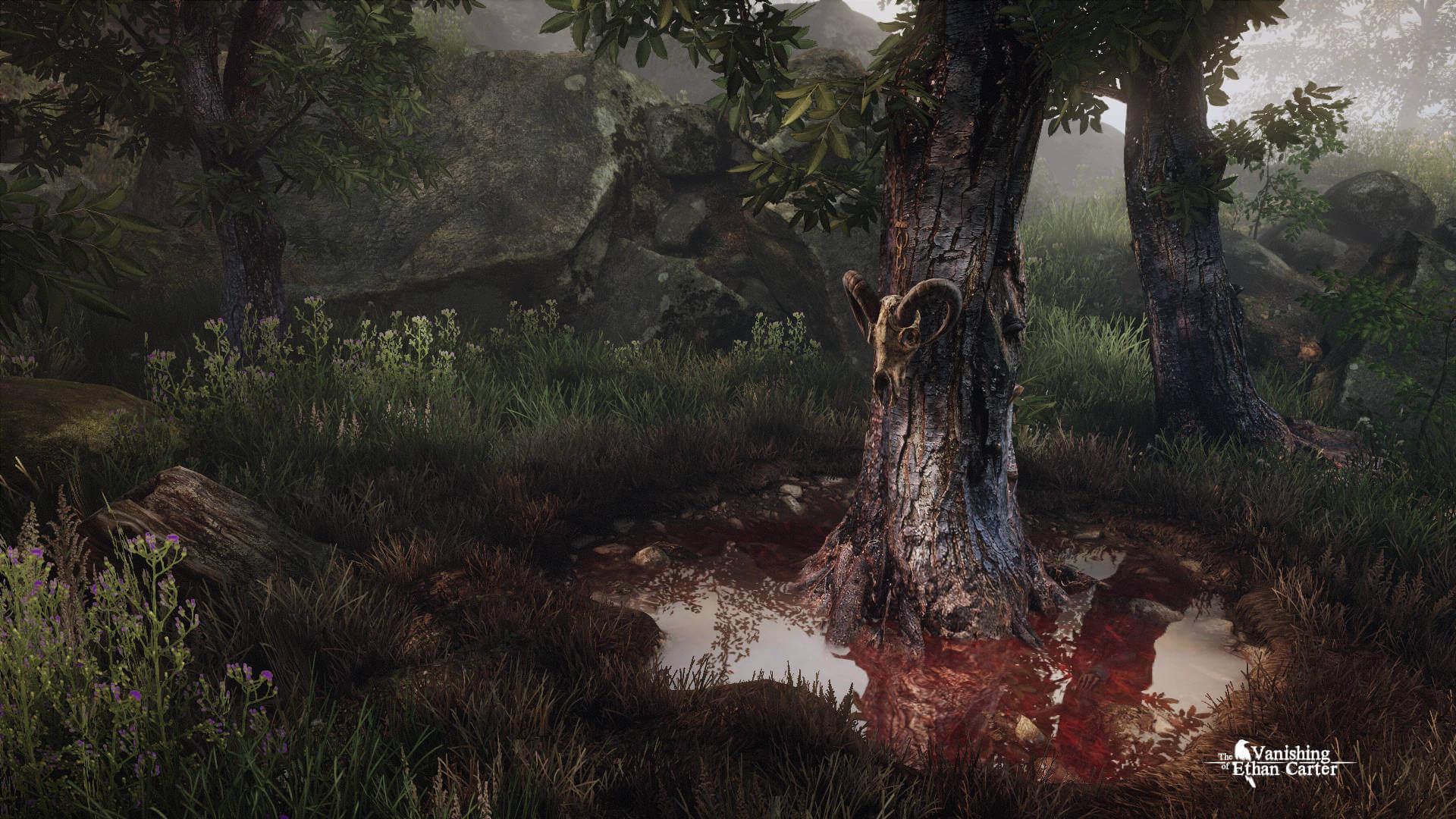 Picture of The Vanishing of Ethan Carter