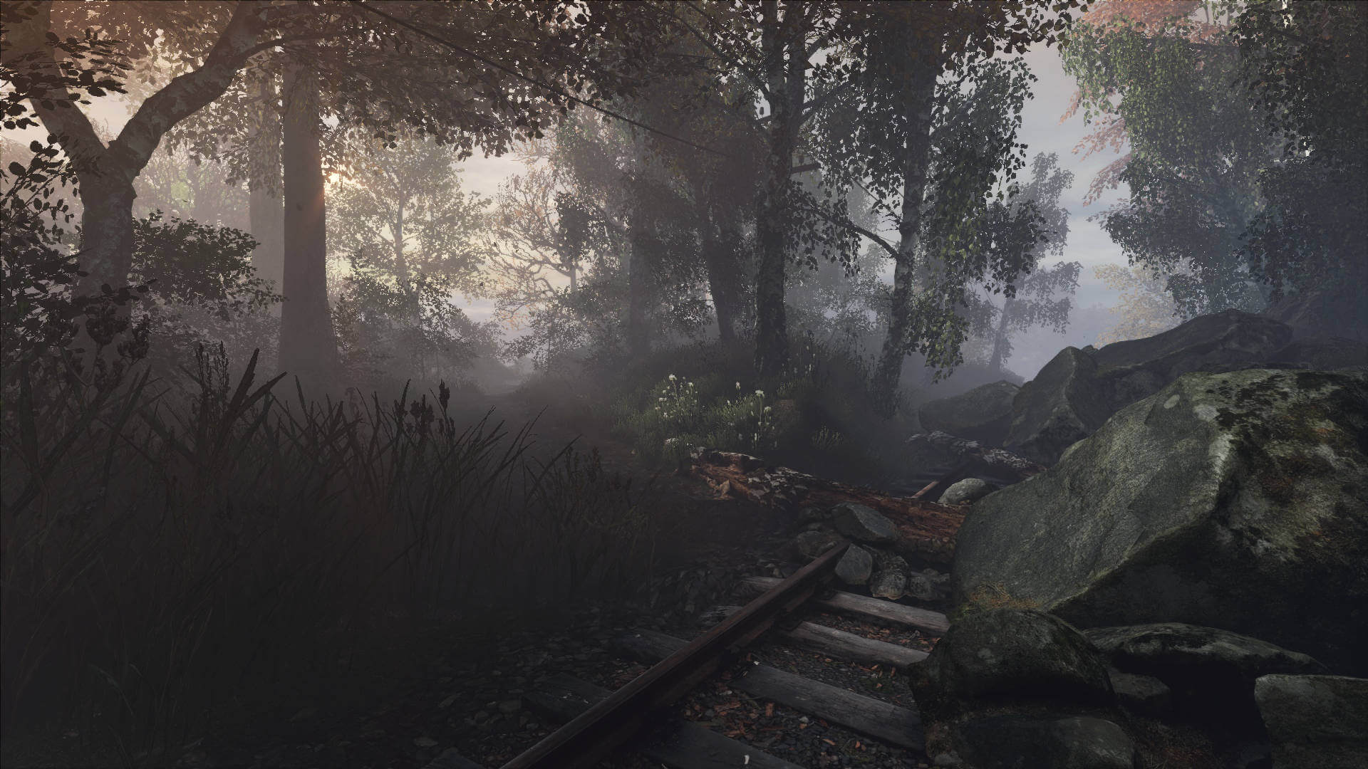 Picture of The Vanishing of Ethan Carter