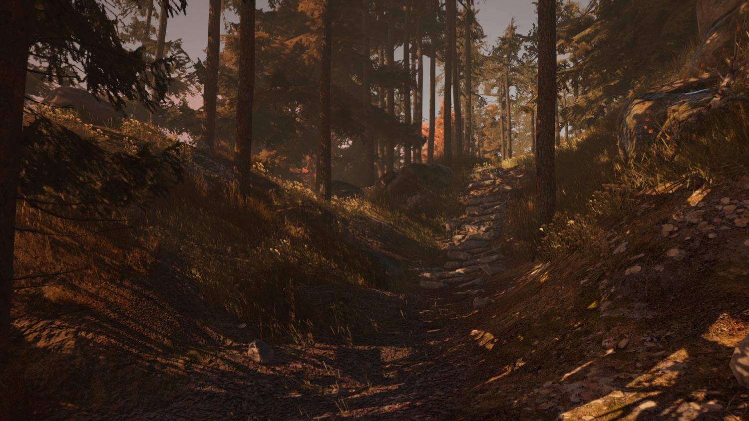 Picture of Through the Woods: Digital Collector's Edition