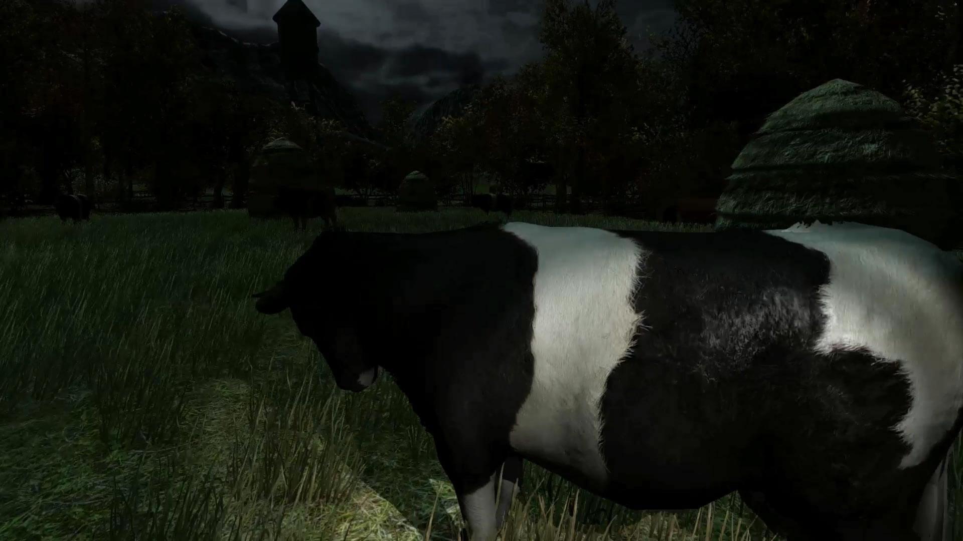 Picture of The Cows Are Watching