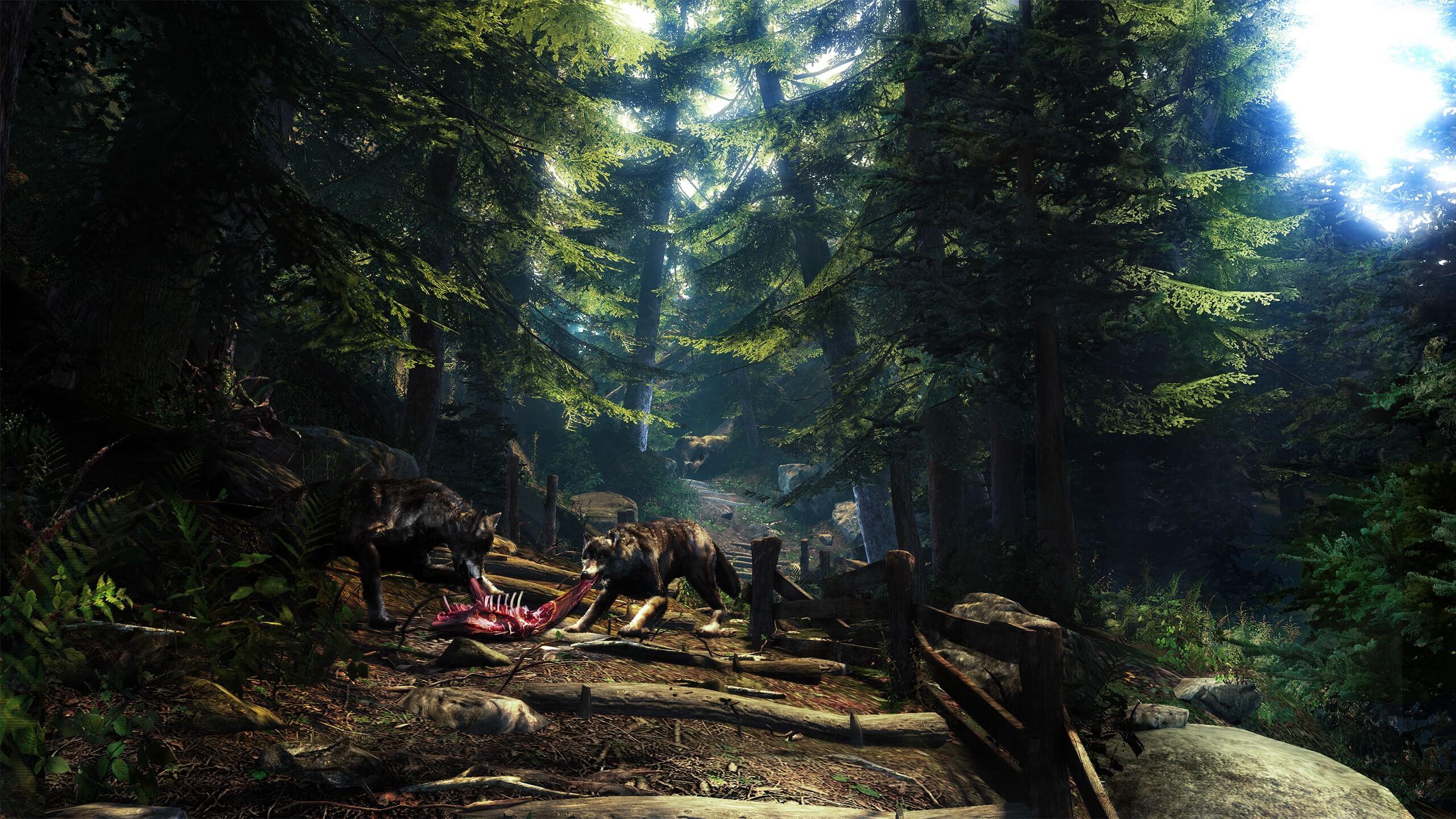 Picture of Two Worlds II HD - Call of the Tenebrae