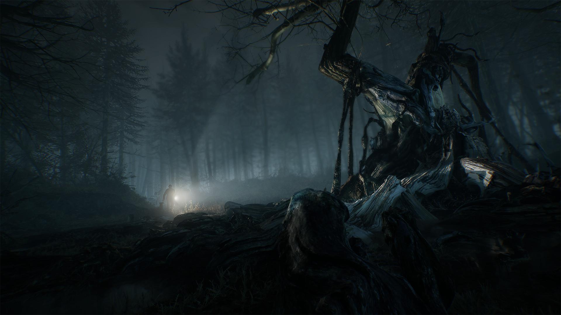 Picture of Blair Witch