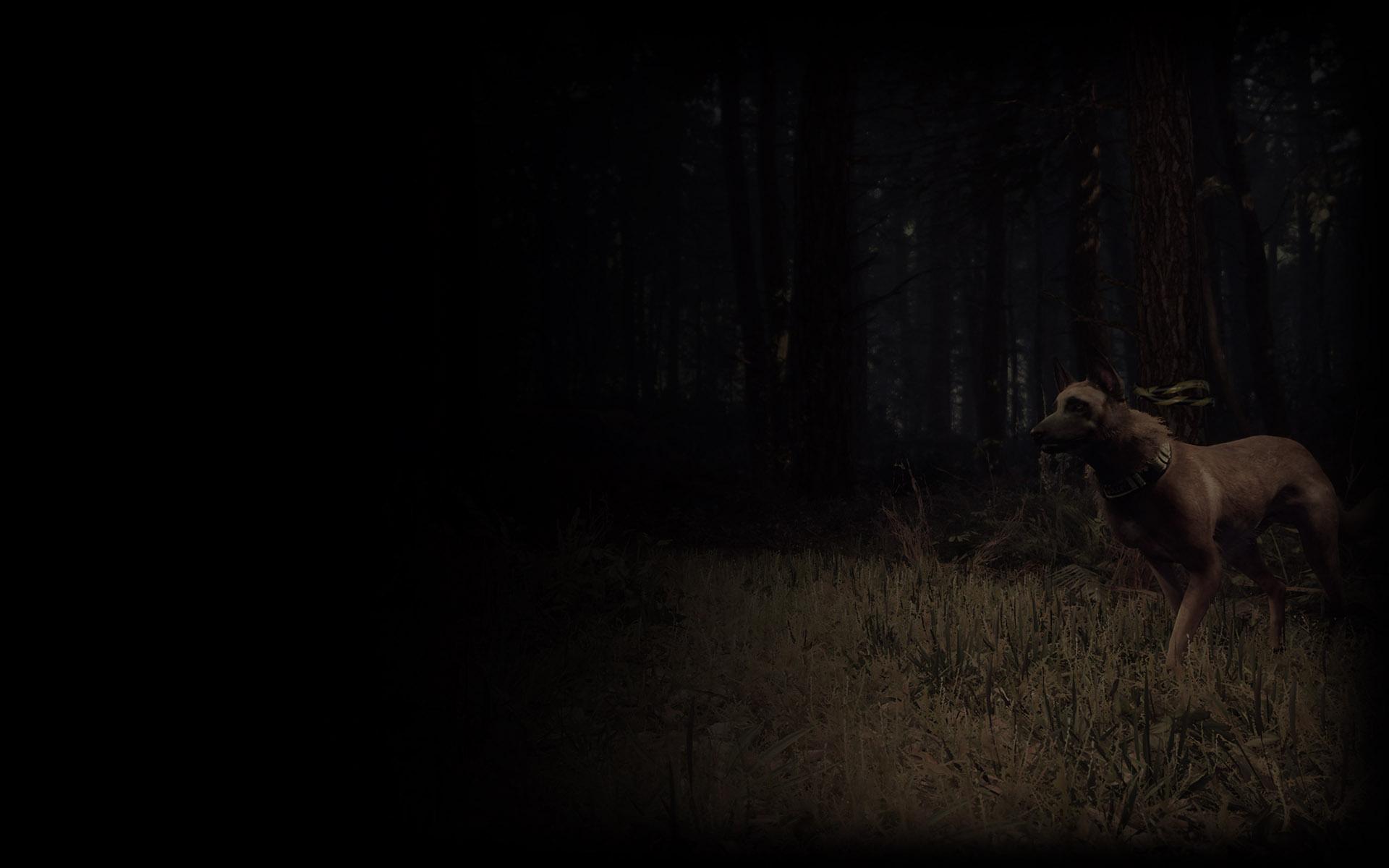 Picture of Blair Witch