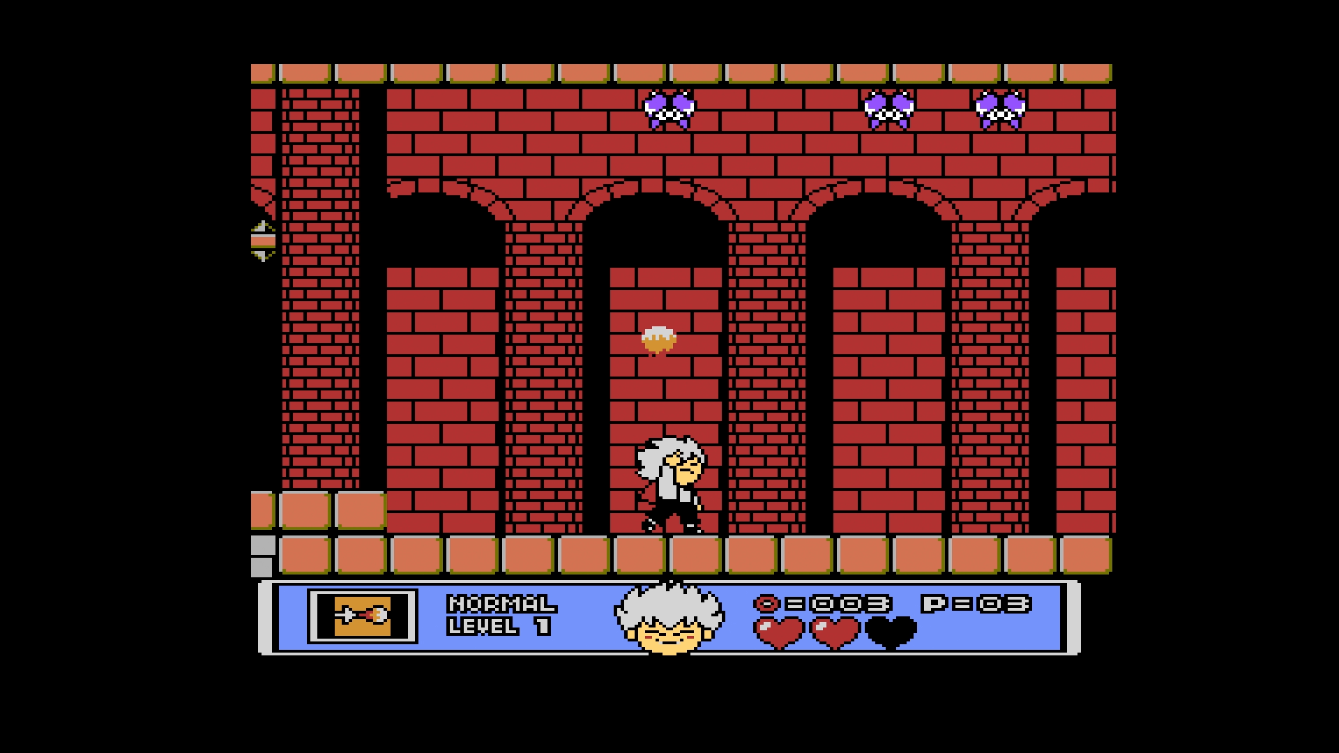 Picture of Castlevania Anniversary Collection