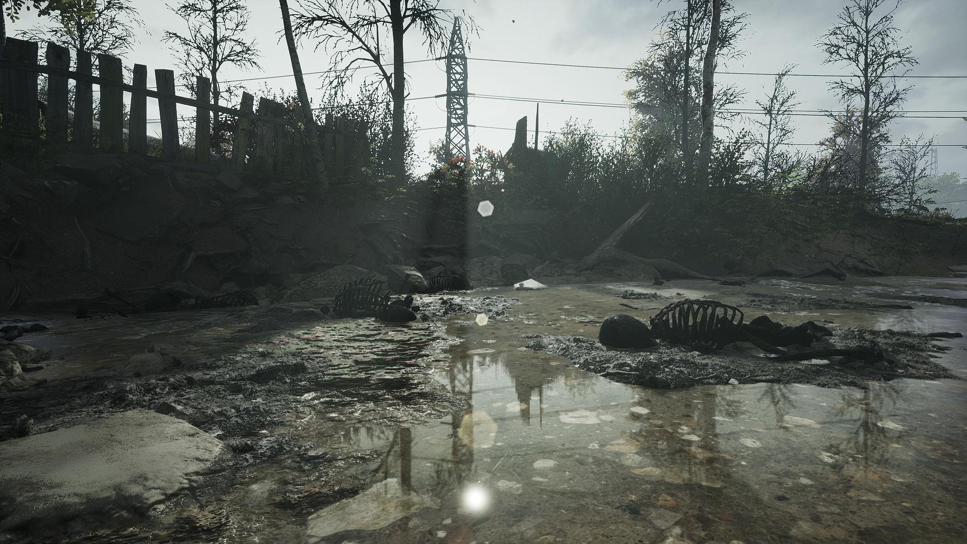 Picture of Chernobylite Enhanced Edition