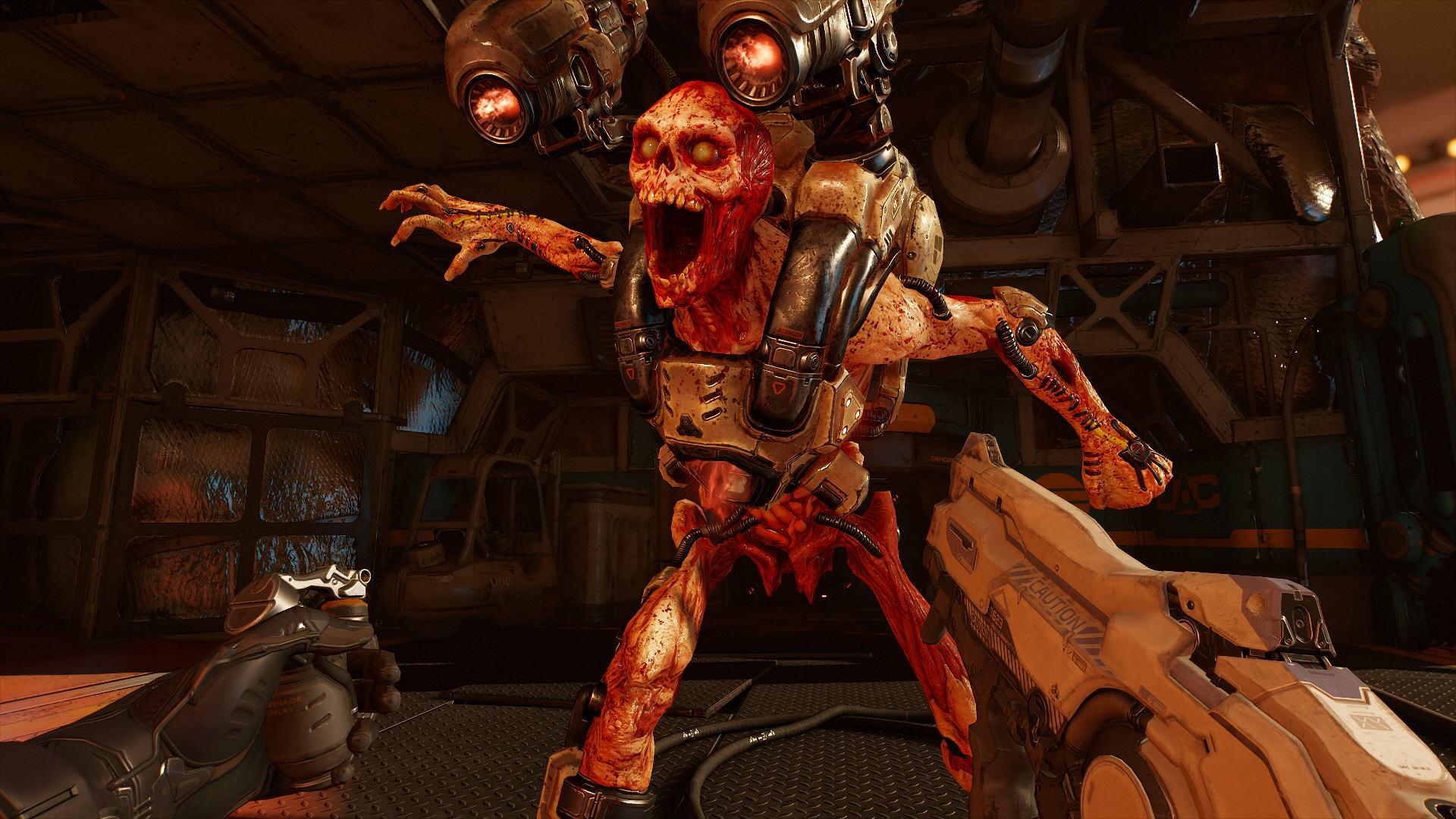 Picture of DOOM VFR