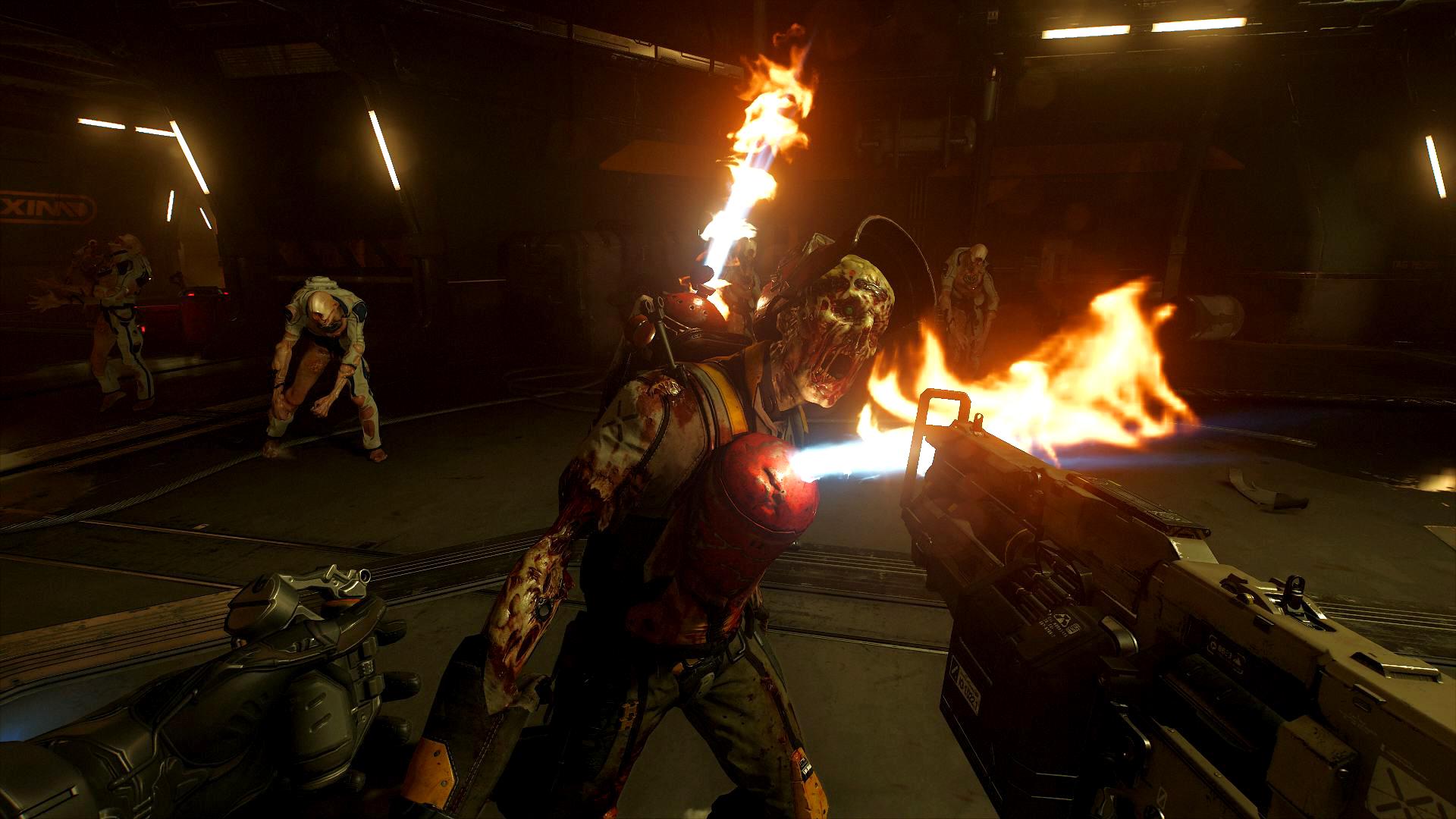 Picture of DOOM VFR