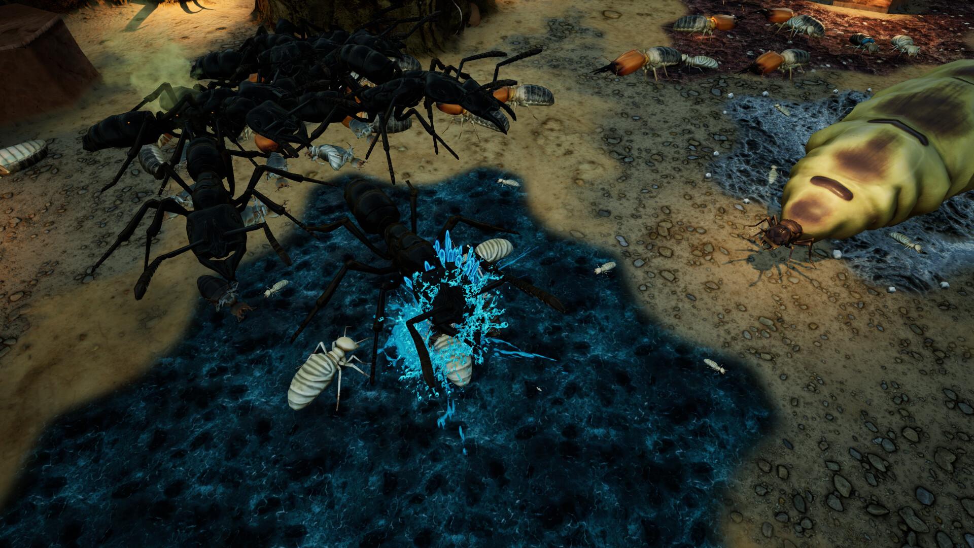 Empires of the Undergrowth - Exploding Ants