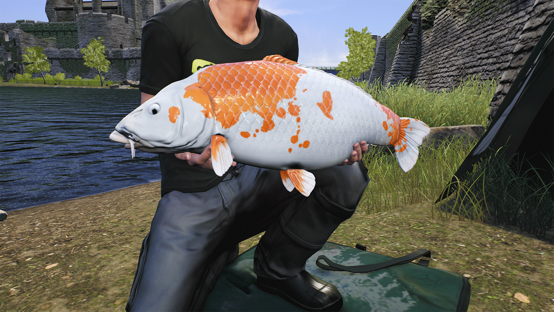 Picture of Euro Fishing: Ultimate Edition