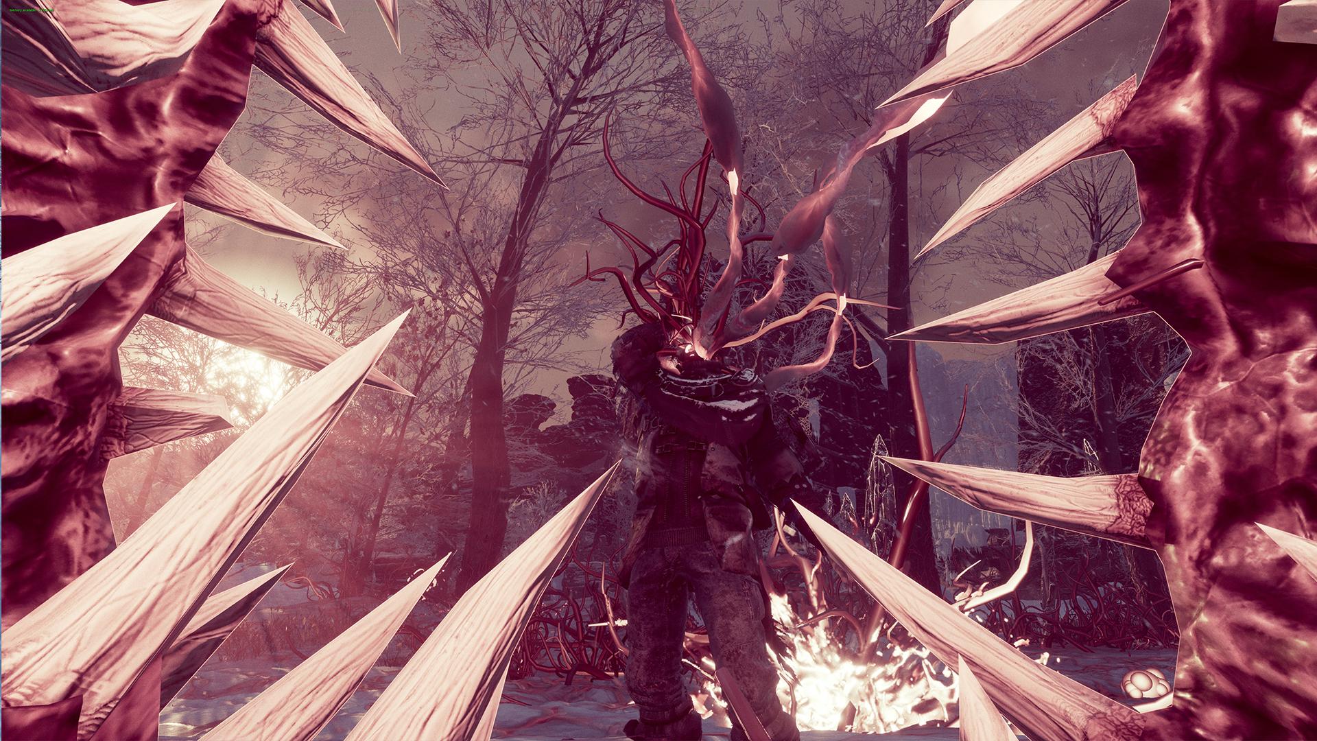Picture of Fade to Silence - Xbox One 