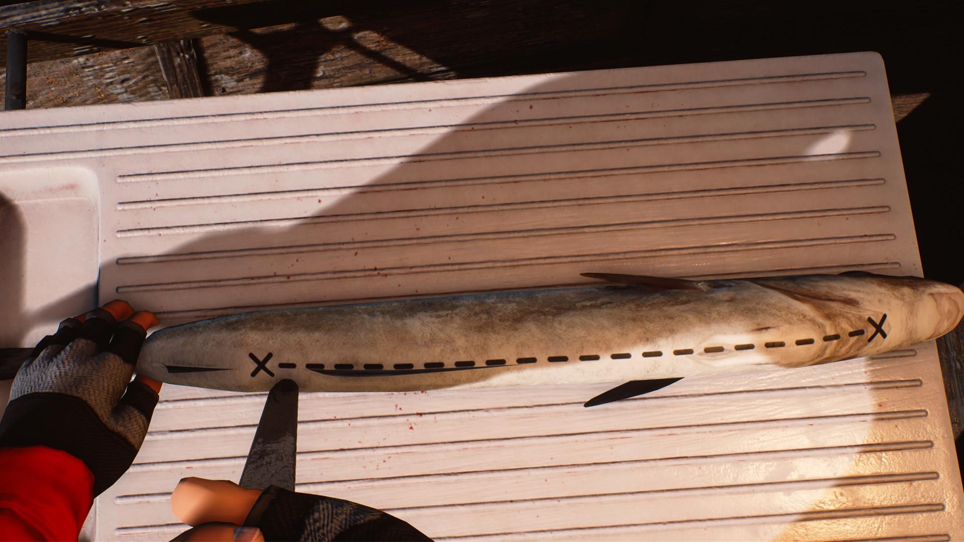 Picture of Fishing: Barents Sea
