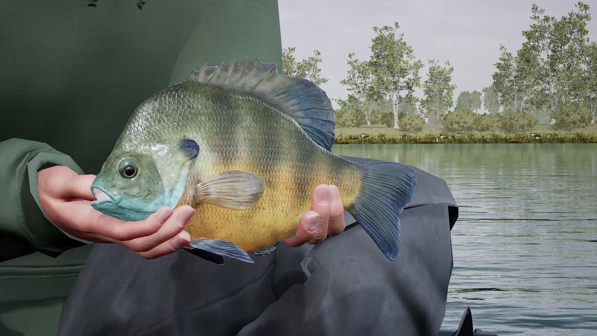 Fishing Sim World®: Pro Tour - Lake Williams