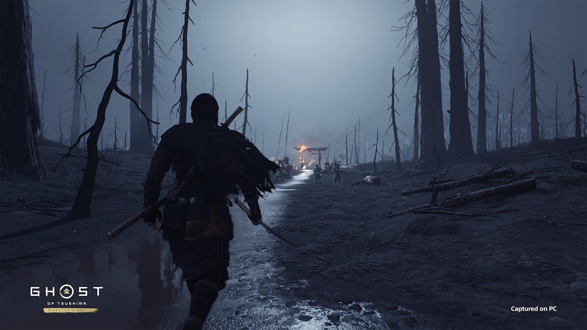 Picture of Ghost of Tsushima DIRECTOR'S CUT