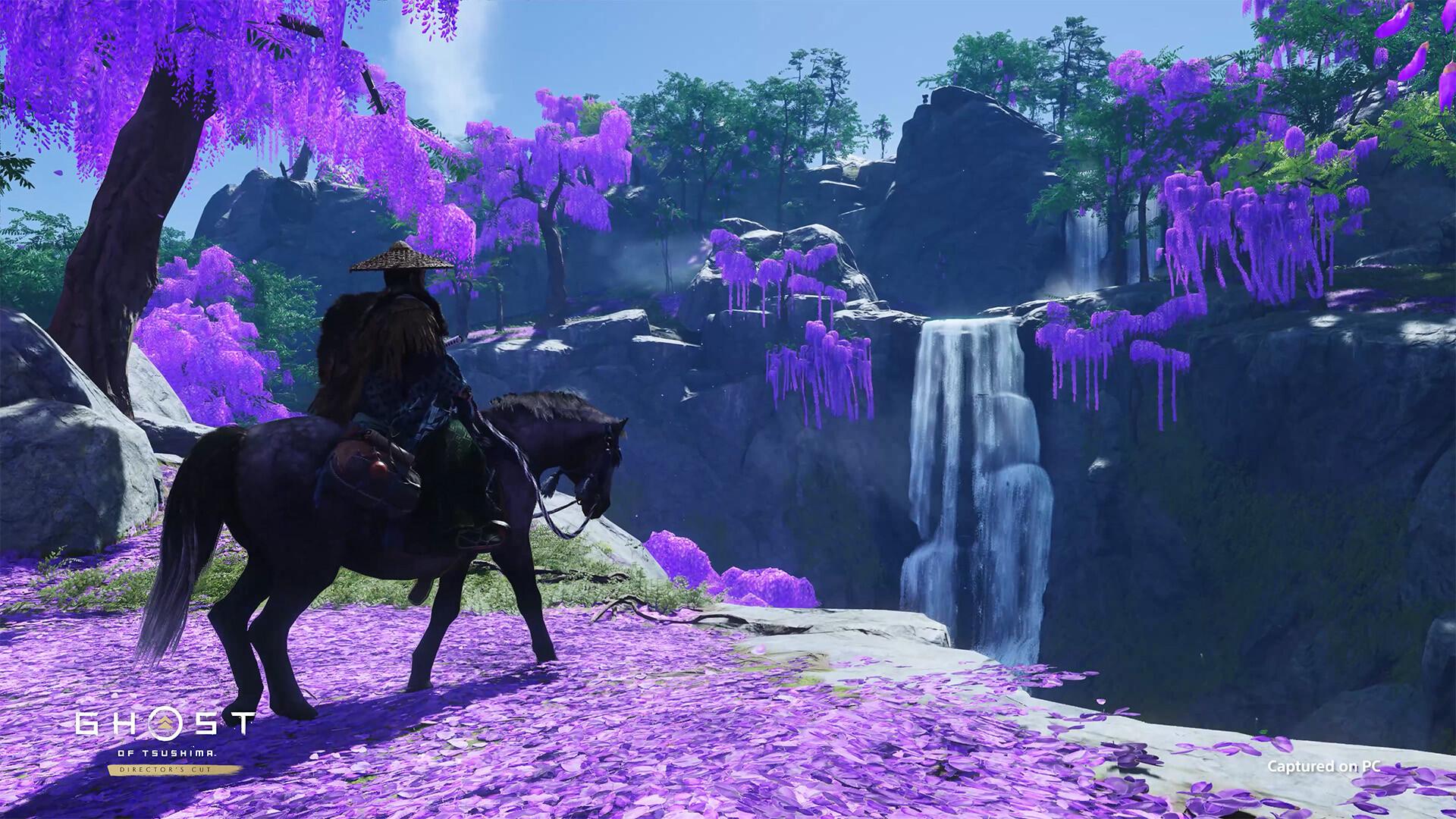 Picture of Ghost of Tsushima DIRECTOR'S CUT