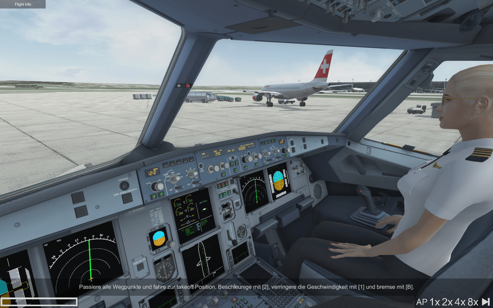 Picture of Holiday Flight Simulator