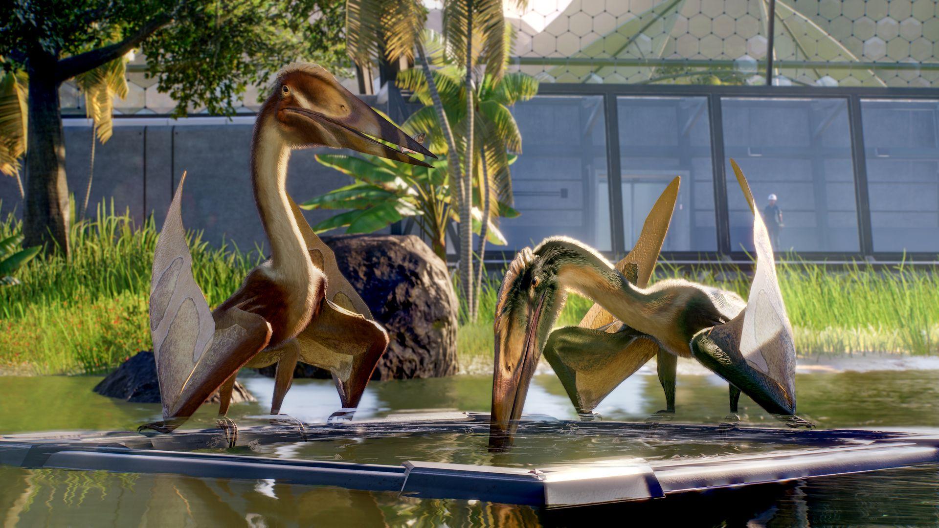 Picture of Jurassic World Evolution 2: Park Managers’ Collection Pack