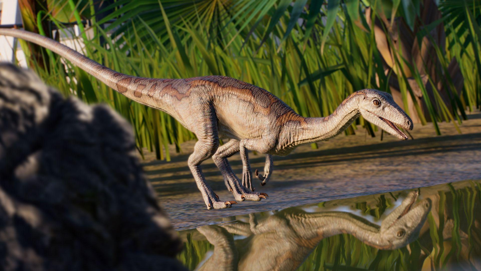 Picture of Jurassic World Evolution 2: Park Managers’ Collection Pack