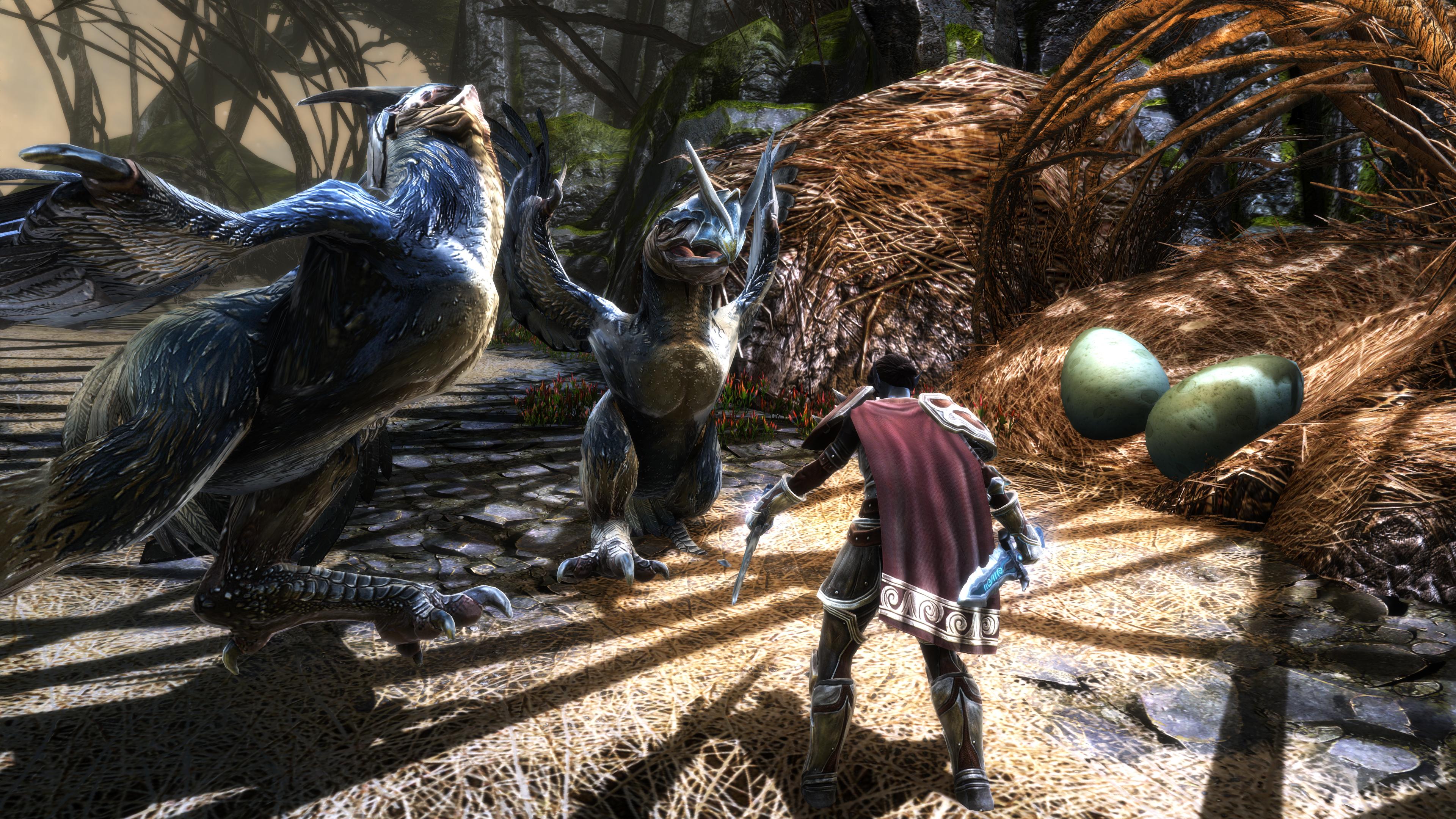 Picture of Kingdoms of Amalur: Re-Reckoning