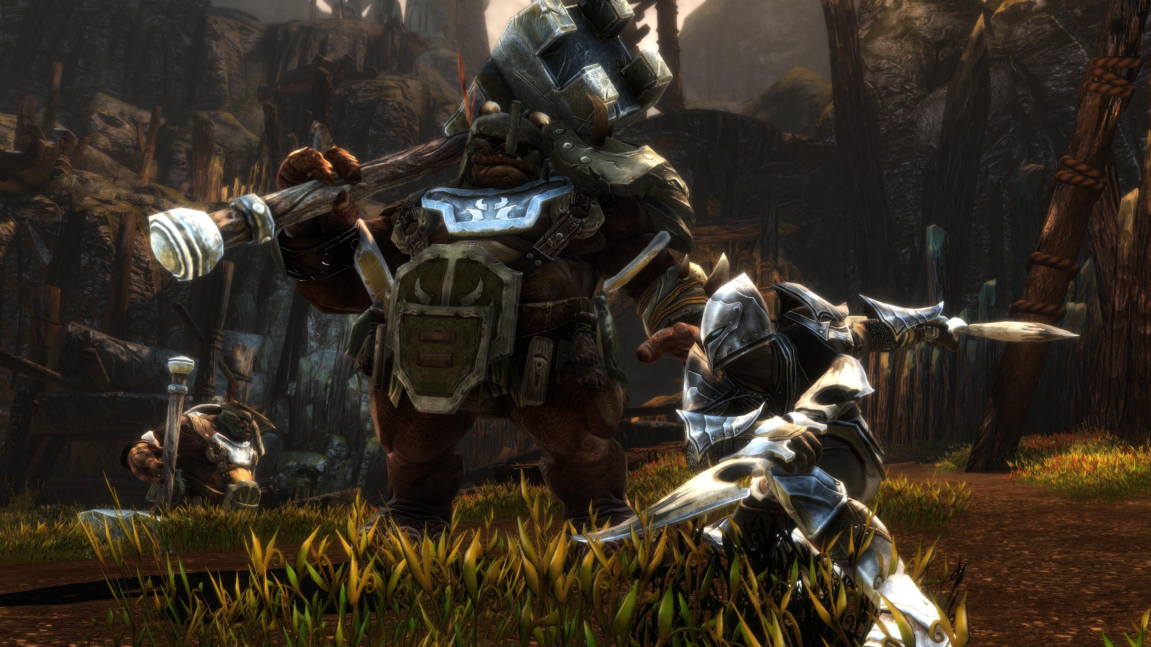 Picture of Kingdoms of Amalur: Re-Reckoning