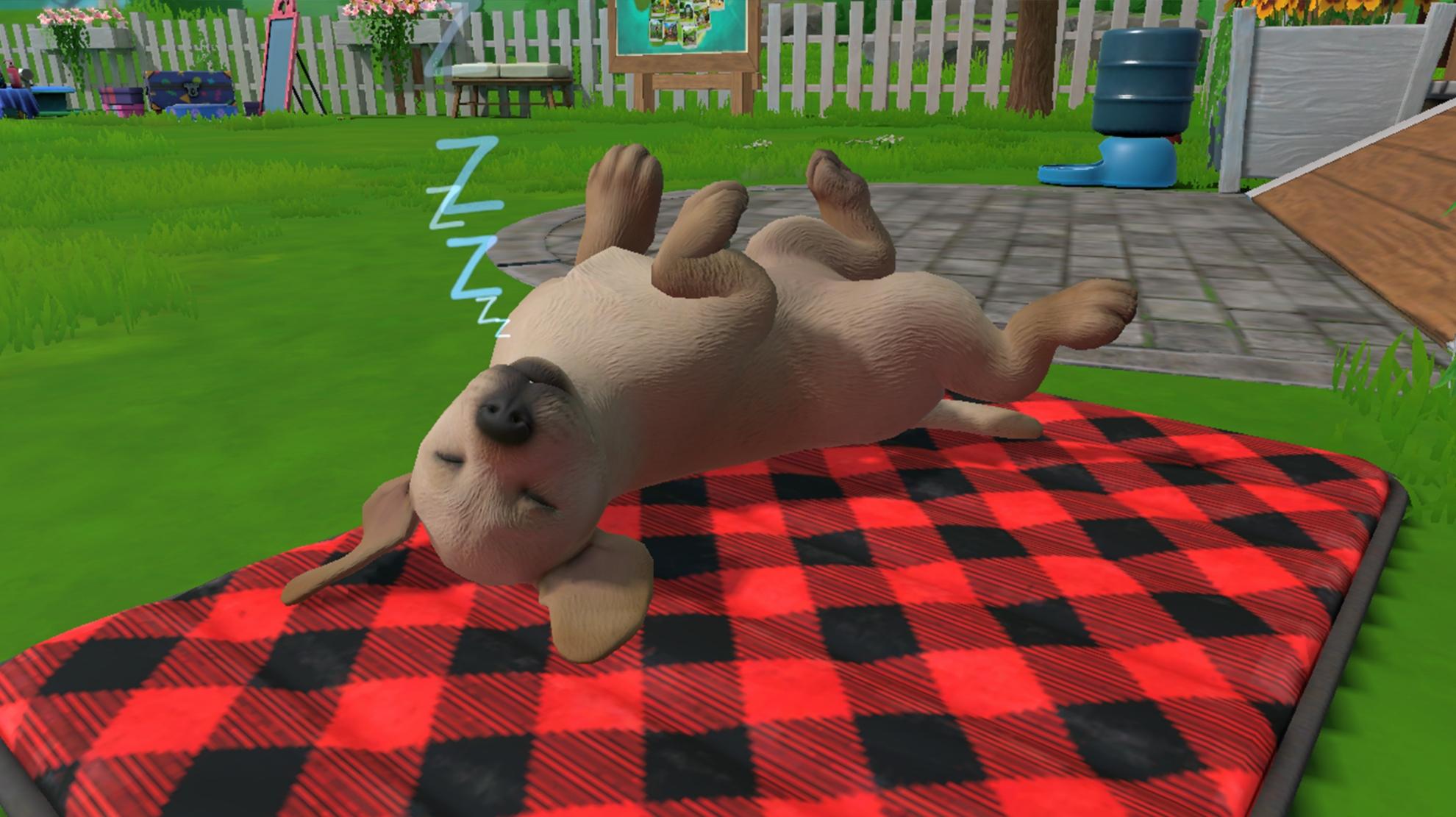 Picture of Little Friends: Puppy Island