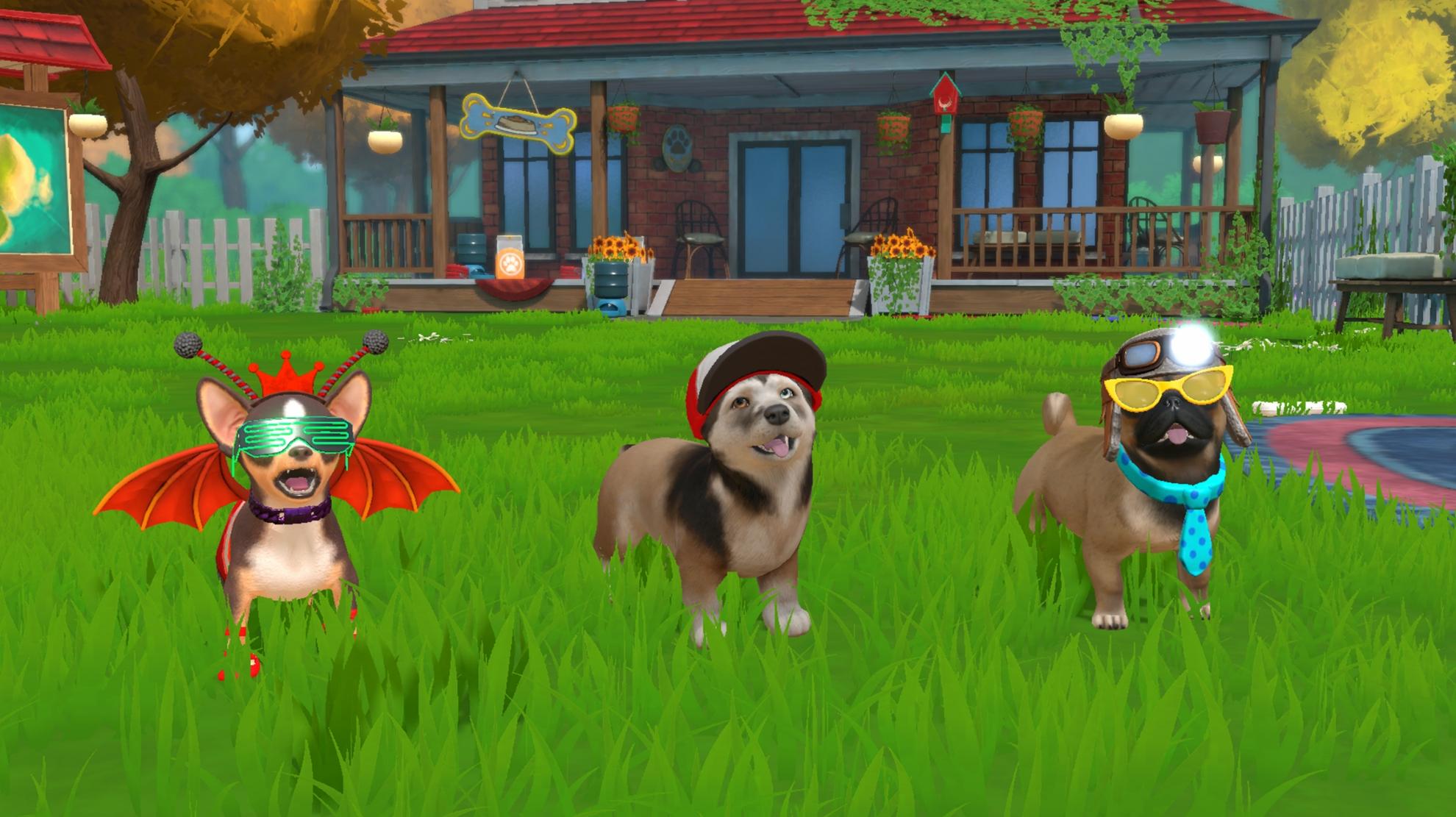 Picture of Little Friends: Puppy Island