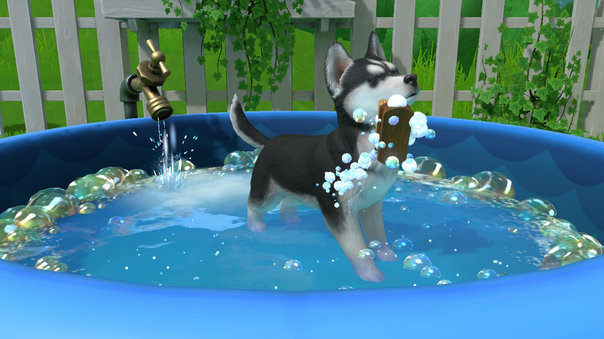 Picture of Little Friends: Puppy Island
