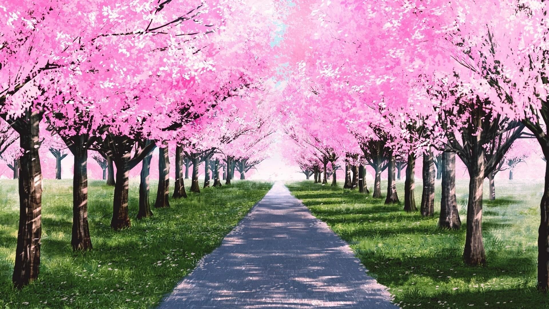 Picture of My Summer Adventure: Memories of Another Life