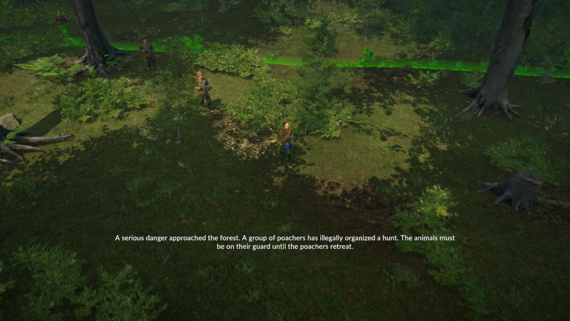 Picture of Natural Instincts: European Forest