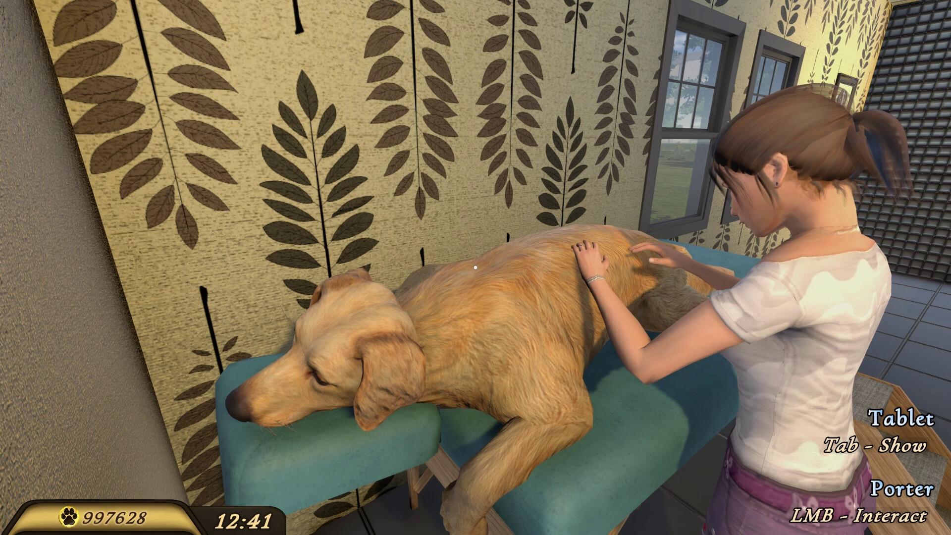 Picture of Pets Hotel