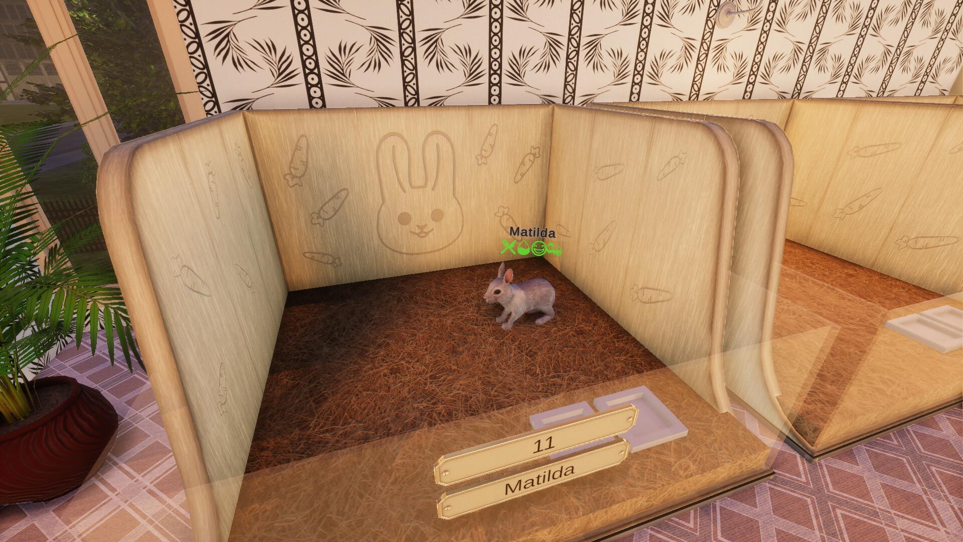 Picture of Pets Hotel